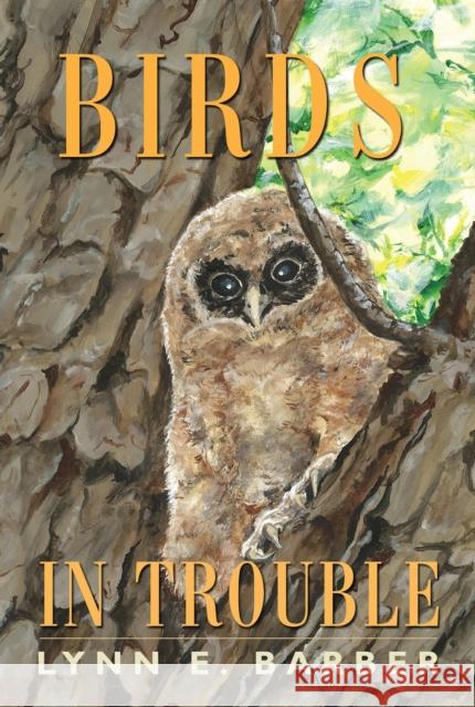 Birds in Trouble Lynn E. Barber 9781623493592 Texas A&M University Press - książka