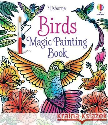 Birds Magic Painting Book Sam Baer Marcella Grassi 9781805070610 Usborne Books - książka