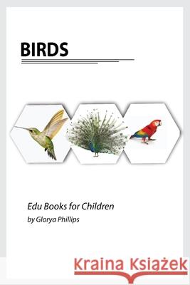 Birds: Montessori real birds book, bits of intelligence for baby and toddler, children's book, learning resources. Glorya Phillips 9782213610481 Robert Cristofir - książka