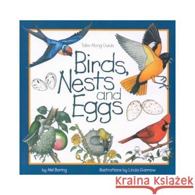 Birds, Nests & Eggs Boring, Mel 9781559716246 Northword Press - książka