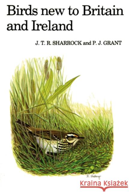 Birds New to Britain and Ireland J.T.R. Sharrock, P. J. Grant, J.T.R. Sharrock 9781408138465 Bloomsbury Publishing PLC - książka