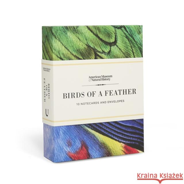 Birds of a Feather: 10 Notecards and Envelopes American Museum of Natural History 9781454962656 Union Square Gift - książka