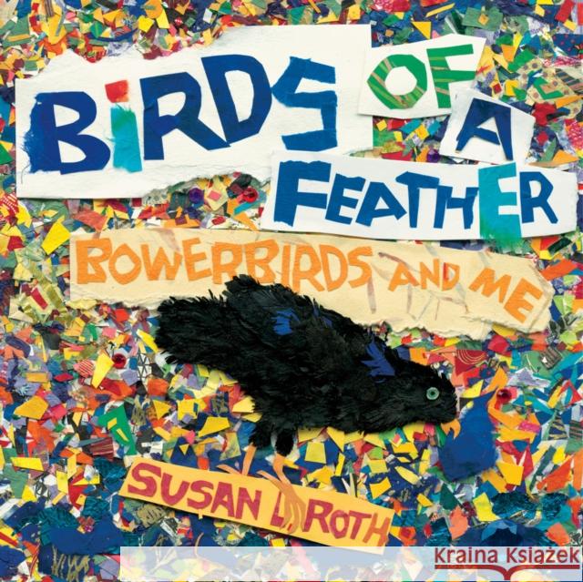 Birds of a Feather: Bowerbirds and Me Susan L. Roth 9780823449378 Neal Porter Books - książka