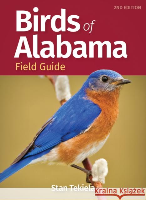 Birds of Alabama Field Guide Stan Tekiela 9781647552954 Adventure Publications - książka