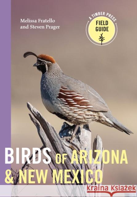 Birds of Arizona and New Mexico Melissa Fratello Steven Prager 9781643261980 Workman Publishing - książka