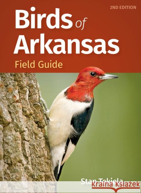 Birds of Arkansas Field Guide Stan Tekiela 9781647554354 Adventure Publications - książka