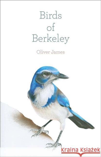 Birds of Berkeley Oliver James 9781597146012 Heyday Books - książka