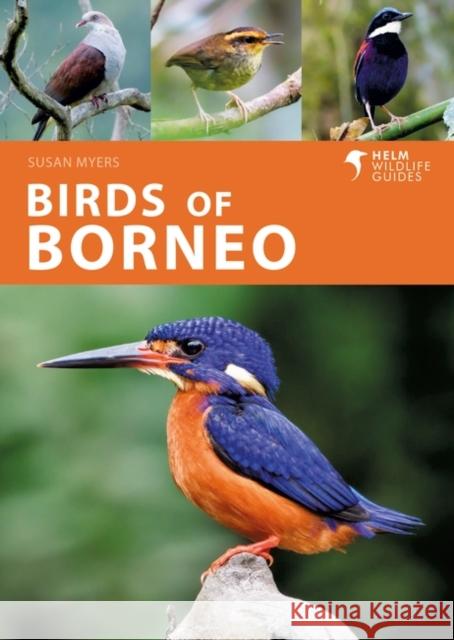 Birds of Borneo Myers, Susan 9781472986900 Bloomsbury Publishing PLC - książka