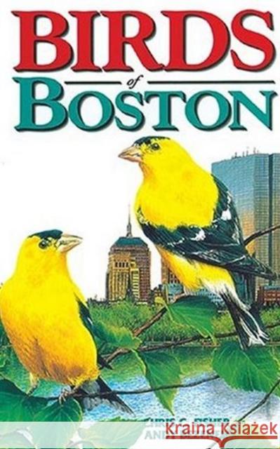 Birds of Boston Chris Fisher, Andy Bezener 9781551051826 Lone Pine Publishing,Canada - książka