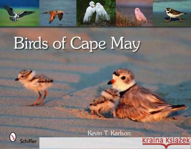 Birds of Cape May Kevin T. Karlson 9780764335341 Schiffer Publishing - książka