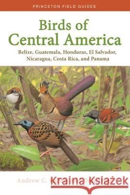 Birds of Central America: Belize, Guatemala, Honduras, El Salvador, Nicaragua, Costa Rica, and Panama Andrew Vallely Dale Dyer 9780691138015 Princeton University Press - książka