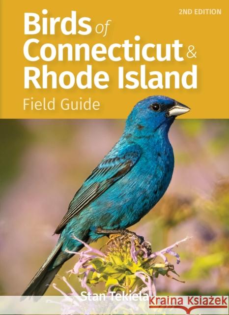 Birds of Connecticut Field Guide Stan Tekiela 9781647554057 Adventure Publications - książka