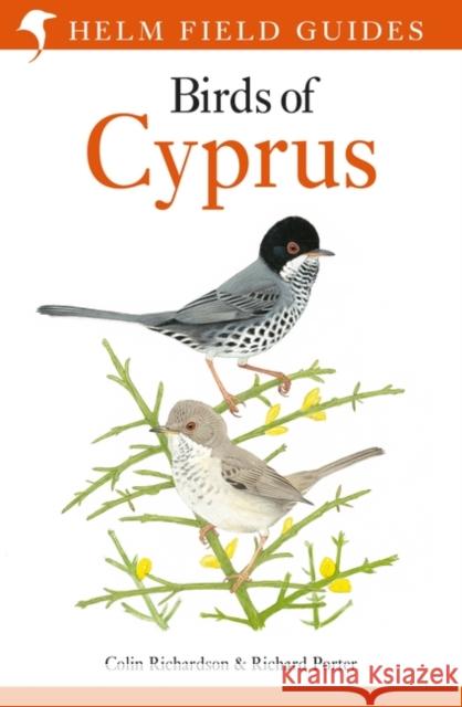 Birds of Cyprus Colin Richardson Richard Porter 9781472960849 Helm - książka