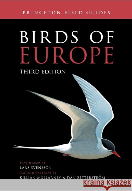 Birds of Europe: Third Edition Lars Svensson Killian Mullarney Dan Zetterstr?m 9780691253343 Princeton University Press - książka