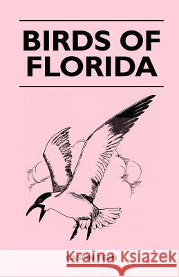 Birds of Florida Caspin Tern 9781446524923 Ind Press - książka