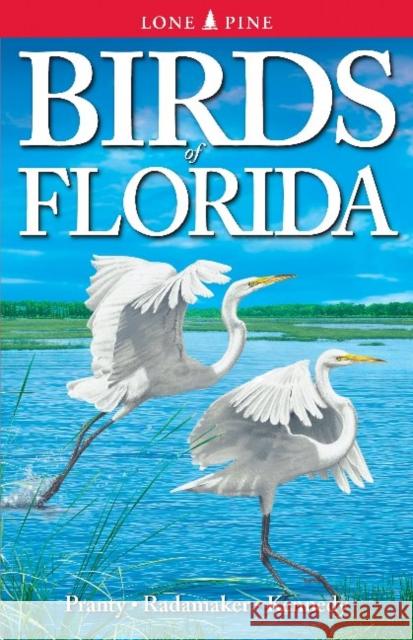 Birds of Florida Bill Pranty Kurt A. Radamaker Gregory Kennedy 9789768200068 Lone Pine Publishing - książka