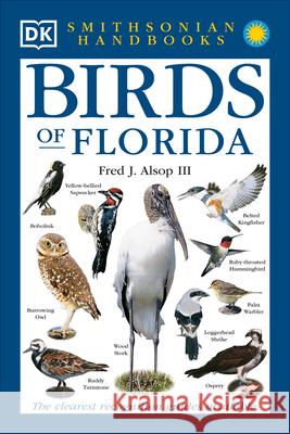 Birds of Florida: The Clearest Recognition Guide Available DK 9780789483874 DK Publishing (Dorling Kindersley) - książka