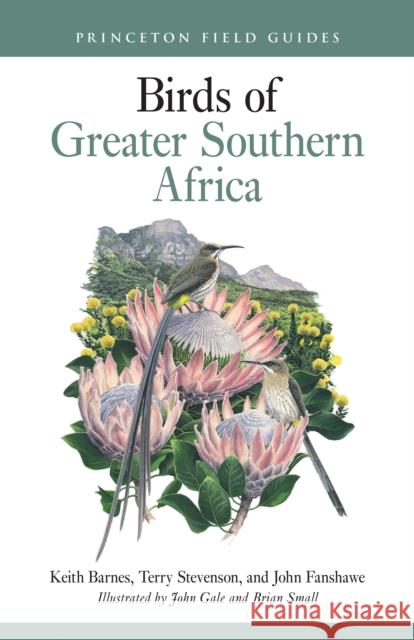 Birds of Greater Southern Africa Keith Barnes John Fanshawe John Gale 9780691263267 Princeton University Press - książka