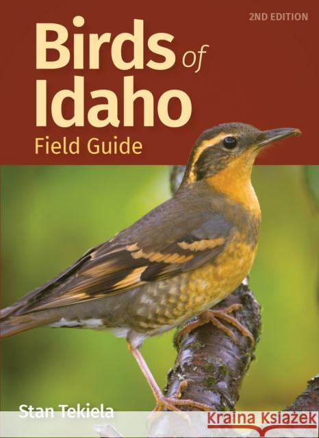 Birds of Idaho Field Guide Stan Tekiela 9781647551483 Adventure Publications - książka