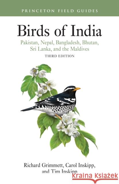 Birds of India: Pakistan, Nepal, Bangladesh, Bhutan, Sri Lanka, and the Maldives - Third Edition Carol Inskipp 9780691269825 Princeton University Press - książka