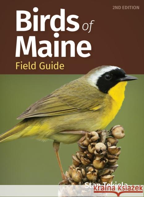 Birds of Maine Field Guide Stan Tekiela 9781647553685 Adventure Publications - książka