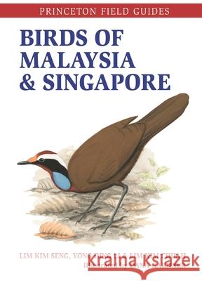 Birds of Malaysia and Singapore Lim Kim Seng Ding Li Yong Dana Gardner 9780691209906 Princeton University Press - książka