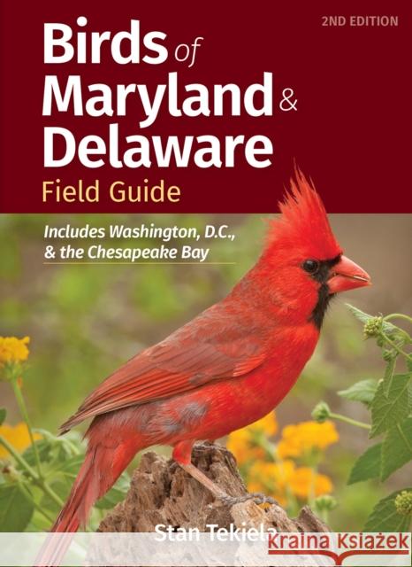 Birds of Maryland & Delaware Field Guide: Includes Washington, D.C., and the Chesapeake Bay Tekiela, Stan 9781647553708 Adventure Publications - książka