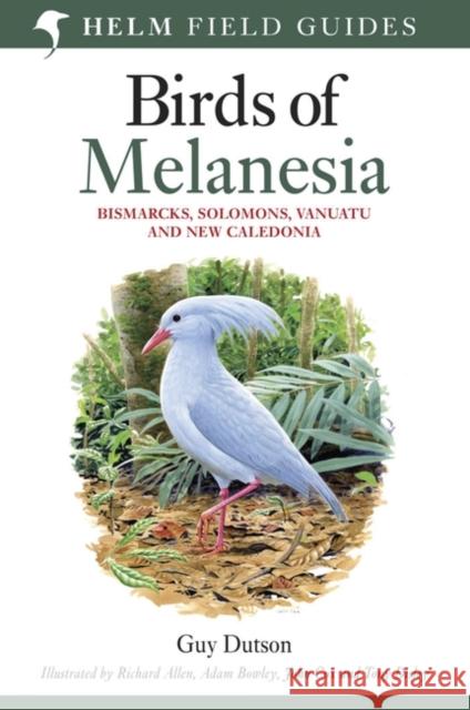 Birds of Melanesia: Bismarcks, Solomons, Vanuatu and New Caledonia Guy Dutson 9780713665406 Bloomsbury Publishing PLC - książka