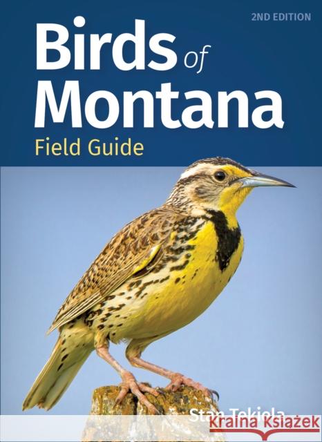 Birds of Montana Field Guide Stan Tekiela 9781647553012 Adventure Publications - książka