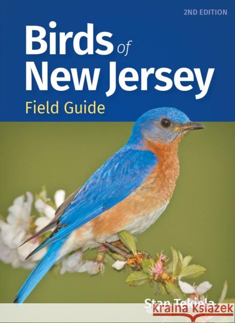 Birds of New Jersey Field Guide Stan Tekiela 9781647553746 Adventure Publications - książka