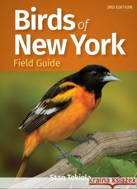 Birds of New York Field Guide Stan Tekiela 9781647550912 Adventure Publications - książka
