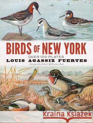 Birds of New York: Over 100 Plates Louis Agassiz Fuertes Robert McCracke 9780486837406 Dover Publications Inc. - książka