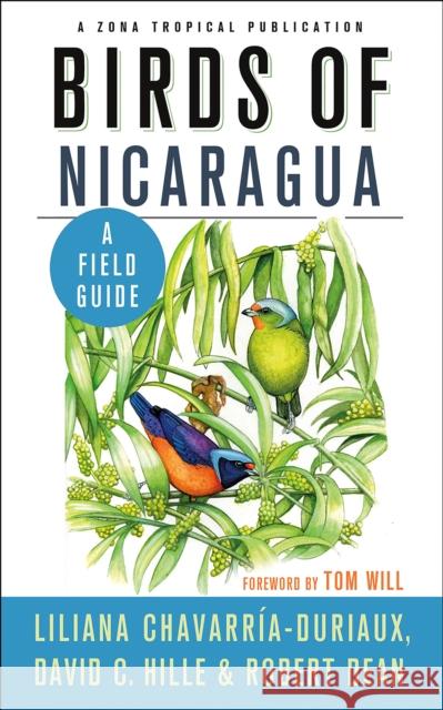 Birds of Nicaragua: A Field Guide Liliana Chavarria-Duriaux Robert Dean David C. Hille 9781501701580 Comstock Publishing - książka