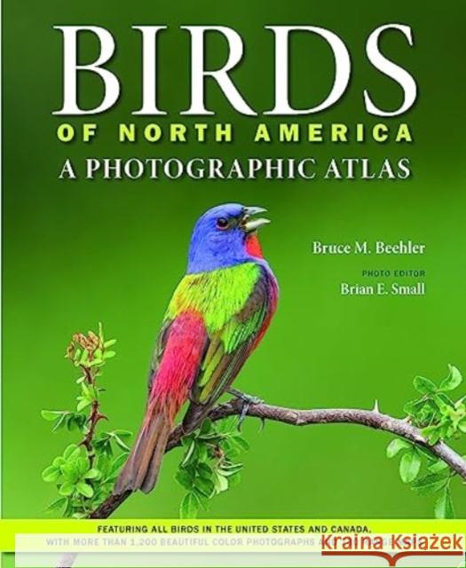 Birds of North America: A Photographic Atlas Bruce M (National Museum of Natural History Smithsonian Institution) Beehler 9781421448268 Johns Hopkins University Press - książka