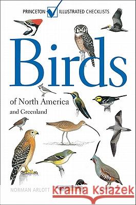 Birds of North America and Greenland Norman Arlott 9780691151403 Princeton University Press - książka