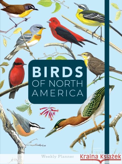 Birds of North America: Undated Weekly and Monthly Planner  9781577154167 Knickerbocker Press,U.S. - książka