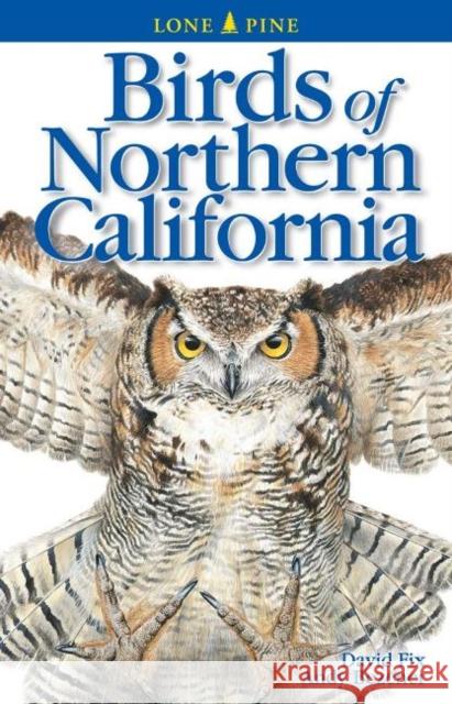 Birds of Northern California David Fix Andy Bezener Gary Ross 9780986786273 Lone Pine International - książka