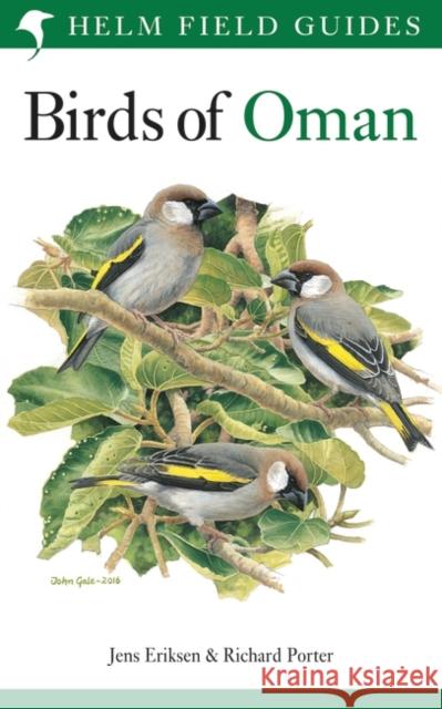 Birds of Oman Richard Porter, Jens Eriksen 9781472937537 Bloomsbury Publishing PLC - książka