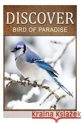 Birds Of Paradise - Discover: Early reader's wildlife photography book Press, Discover 9781500465049 Createspace - książka