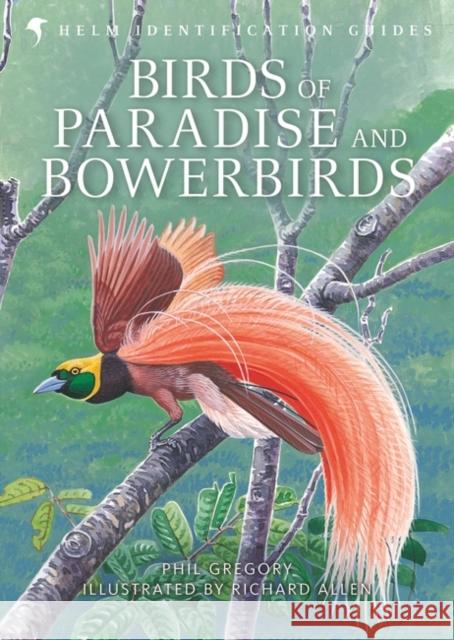 Birds of Paradise and Bowerbirds Phil Gregory, Richard Allen 9780713660272 Bloomsbury Publishing PLC - książka