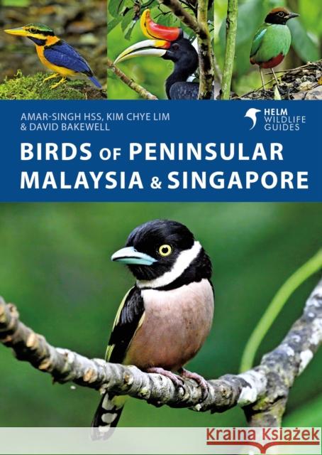 Birds of Peninsular Malaysia and Singapore David Bakewell 9781399421133 Bloomsbury Publishing PLC - książka