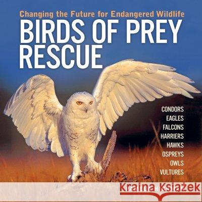 Birds of Prey Rescue: Changing the Future for Endangered Wildlife Pamela Hickman 9781554071449 Firefly Books Ltd - książka