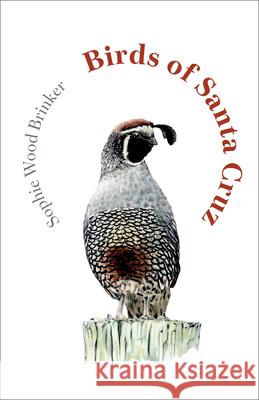 Birds of Santa Cruz  9781597147095 Heyday Books - książka