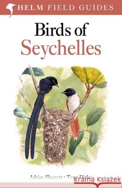 Birds of Seychelles Adrian Skerrett, Tony Disley 9781408151518 Bloomsbury Publishing PLC - książka