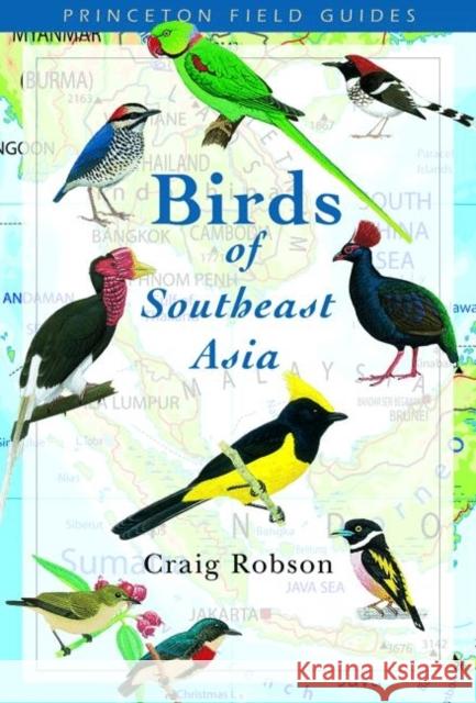 Birds of Southeast Asia Craig Robson Richard Allen Tim Worfolk 9780691124353 Princeton University Press - książka