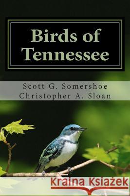 Birds of Tennessee: A New Annotated Checklist Scott G. Somershoe Christopher a. Sloan 9781507815755 Createspace - książka