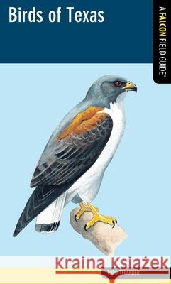 Birds of Texas Todd Telander 9780762774203 FalconGuide - książka