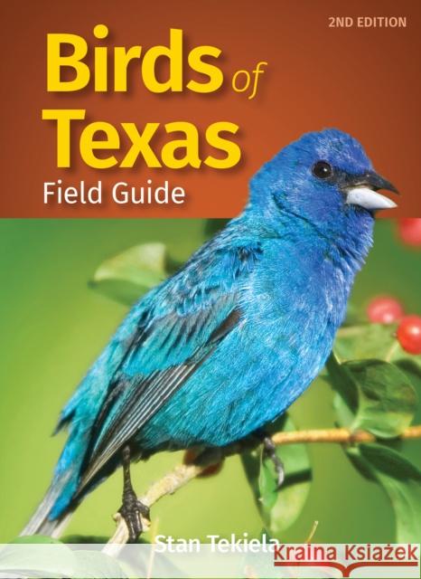 Birds of Texas Field Guide Stan Tekiela 9781647550622 Adventure Publications - książka