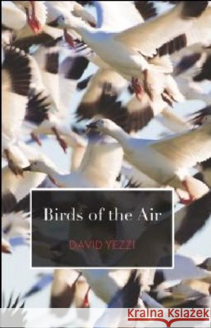 Birds of the Air David Yezzi 9780887485718 Carnegie Mellon - książka