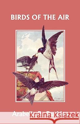 Birds of the Air (Yesterday's Classics) Arabella B. Buckley 9781599152745  - książka